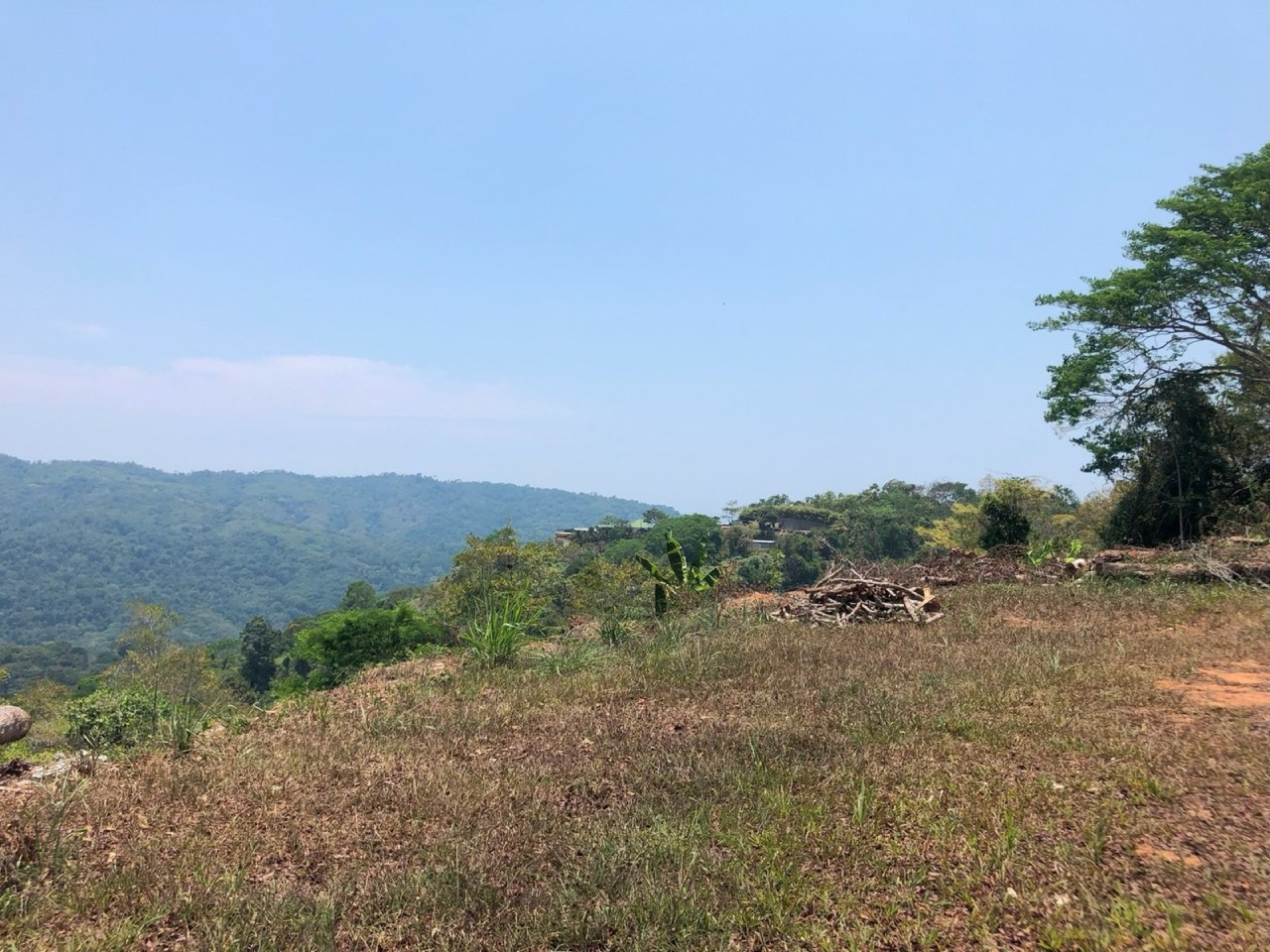 2.4 ACRES Mountian and Valley View Land Surrounded by Jungle With Legal Water An Elecricity And Easy Access! property photo 3 in Costa Rica