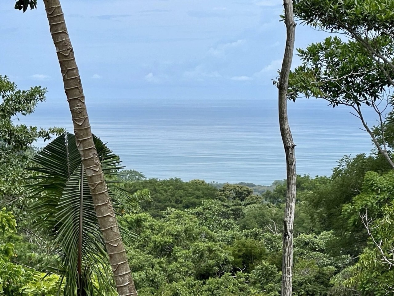 2.4 ACRES Ocean View Lot With Creek Sorrounded By Rainforest In Gated Community! in Savegre, Puntarenas, Costa Rica