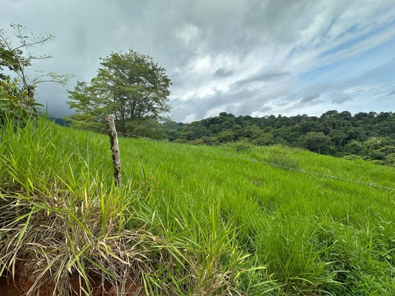 2.5 ACRES – Amazing Mountain View Property With Multiple Rivers In The Area! (B) property photo 2 in Costa Rica