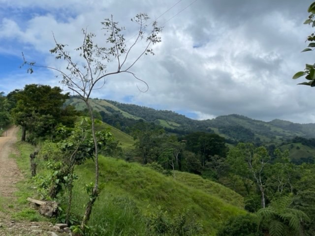 2.5 ACRES – Amazing Mountain View Property With Multiple Rivers In The Area! (B) property photo 3 in Costa Rica