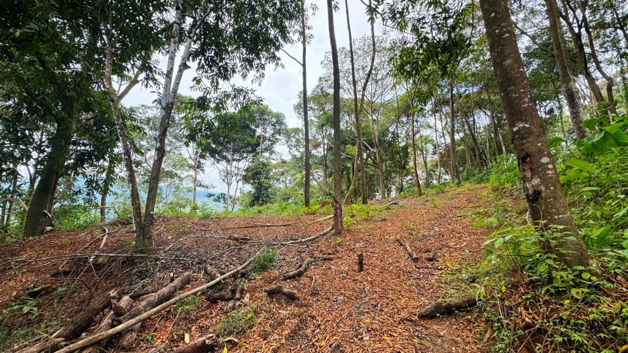 2.6 Acre Waterfall View Property in Dominical Costa Rica property photo 2 in Costa Rica