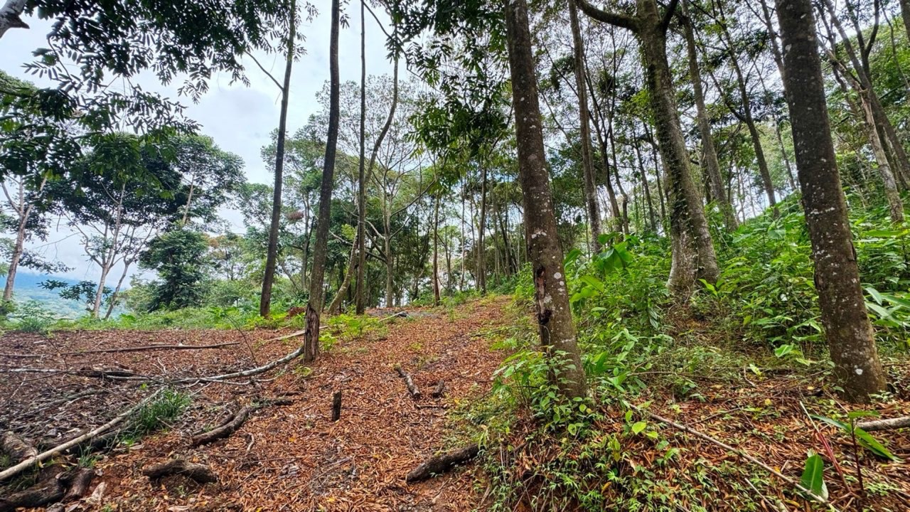 2.6 Acre Waterfall View Property in Dominical Costa Rica property photo 4 in Costa Rica