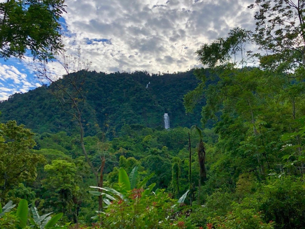 2.94 ACRES – 2 Bedroom Octagonal Home with Waterfall Views, Three 1-Bedroom Guest Cabins, Fruit Forest, river and Yoga Deck! property photo 3 in Costa Rica