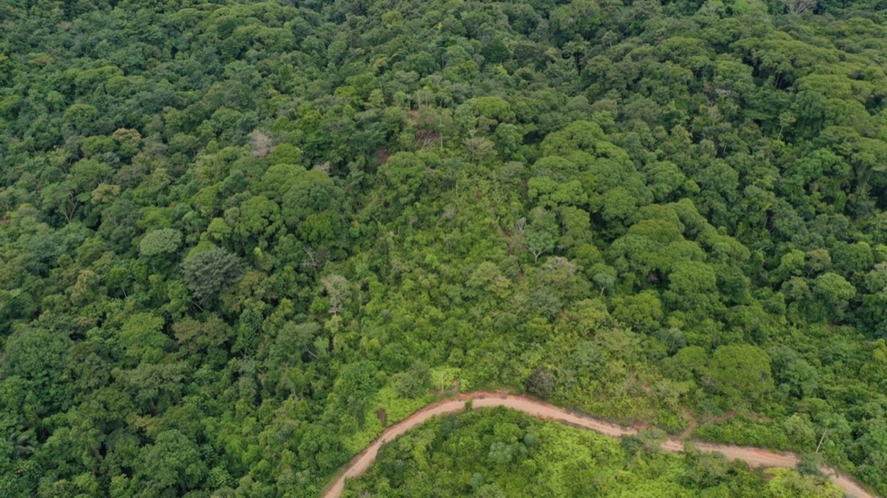 23.5 Acre Waterfall & Riverfront Estate Bahia Ballena Osa Peninsula property photo 2 in Costa Rica