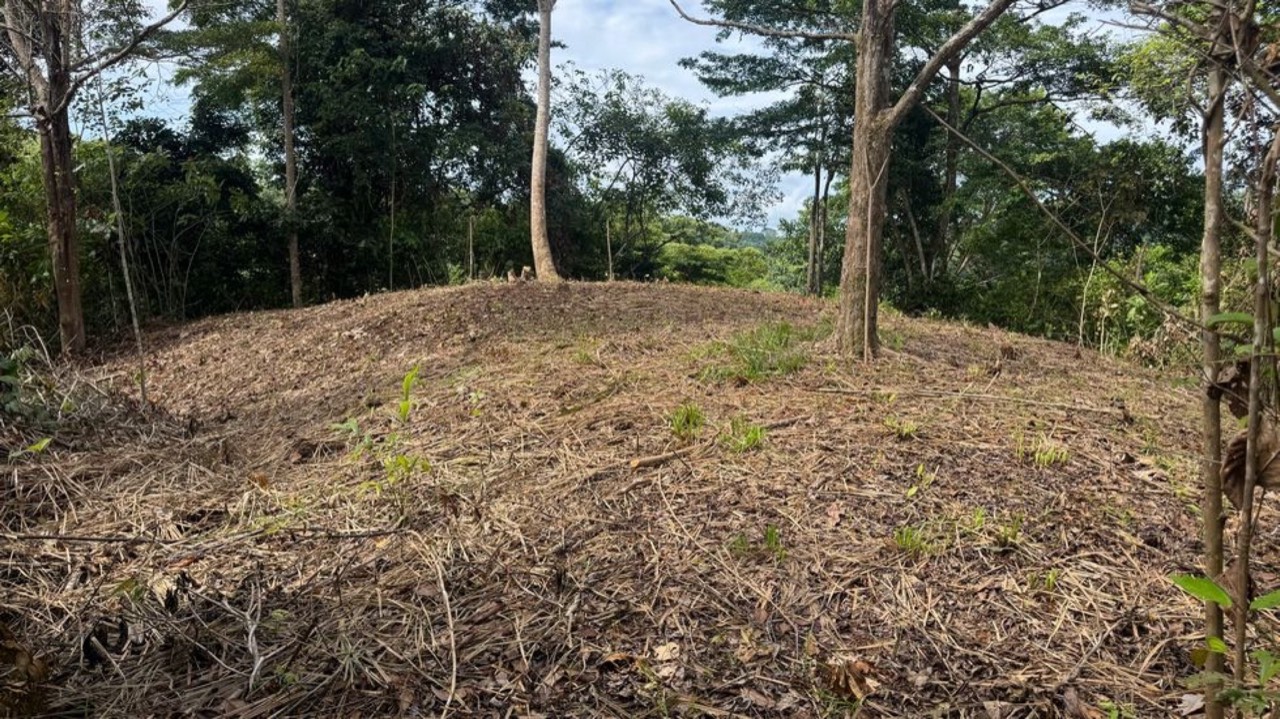 23.5 Acre Waterfall & Riverfront Estate Bahia Ballena Osa Peninsula property photo 3 in Costa Rica