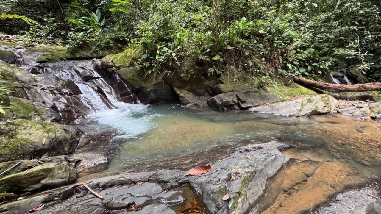 23.5 Acre Waterfall & Riverfront Estate Bahia Ballena Osa Peninsula property photo 4 in Costa Rica