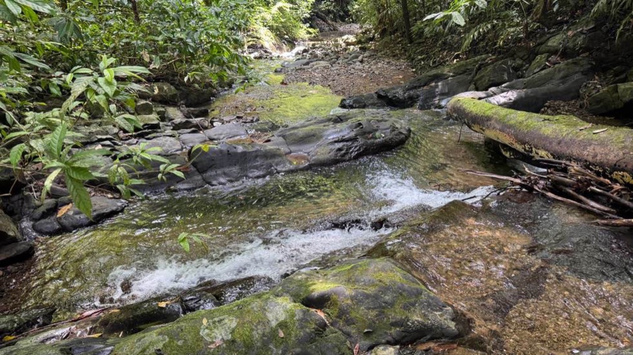 23.5 Acre Waterfall & Riverfront Estate Bahia Ballena Osa Peninsula property photo 5 in Costa Rica