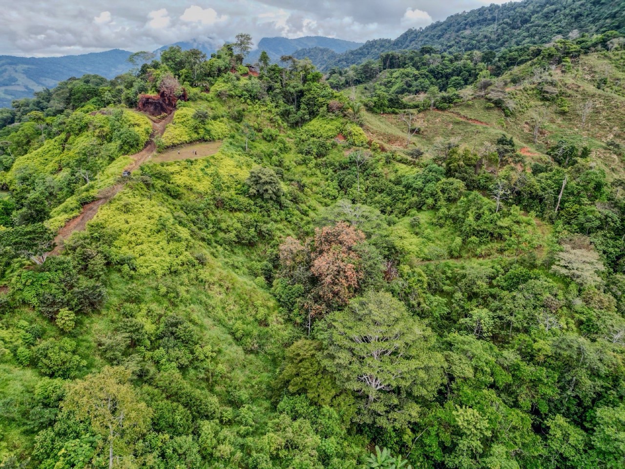 24.46 ACRES- Ocean And Mountain View Land, 4 Building Areas, Legal Water, Public Road, 20min From Beaches! property photo 5 in Costa Rica