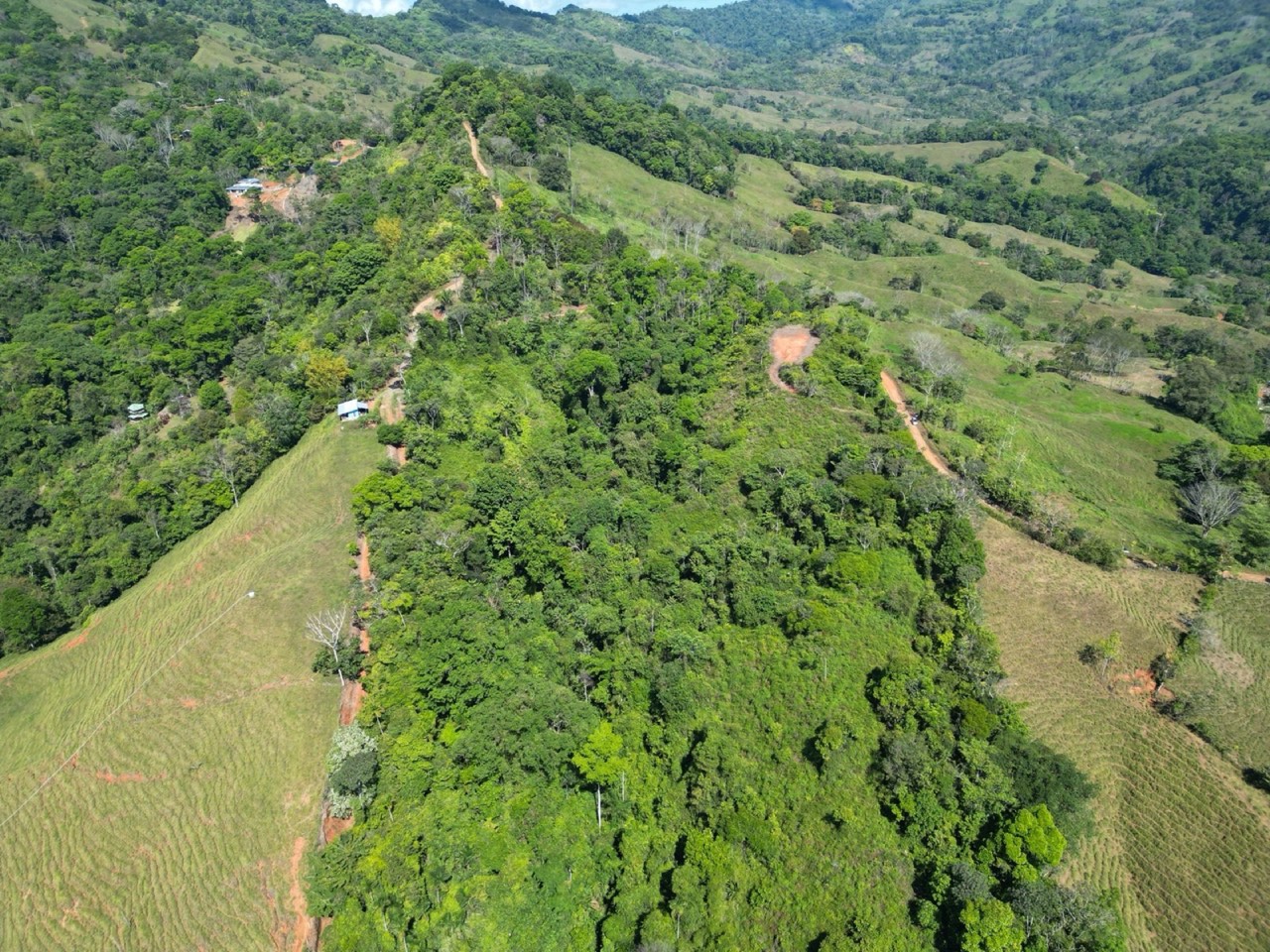 24 Acres Land With 360° Mountain View, Jungle Legal Water & Electricity! property photo 4 in Costa Rica
