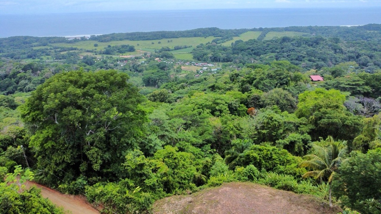 3.58 ACRES Amazing Ocean View Lot With Primary Forest, Creek, And Easy Access! property photo 2 in Costa Rica
