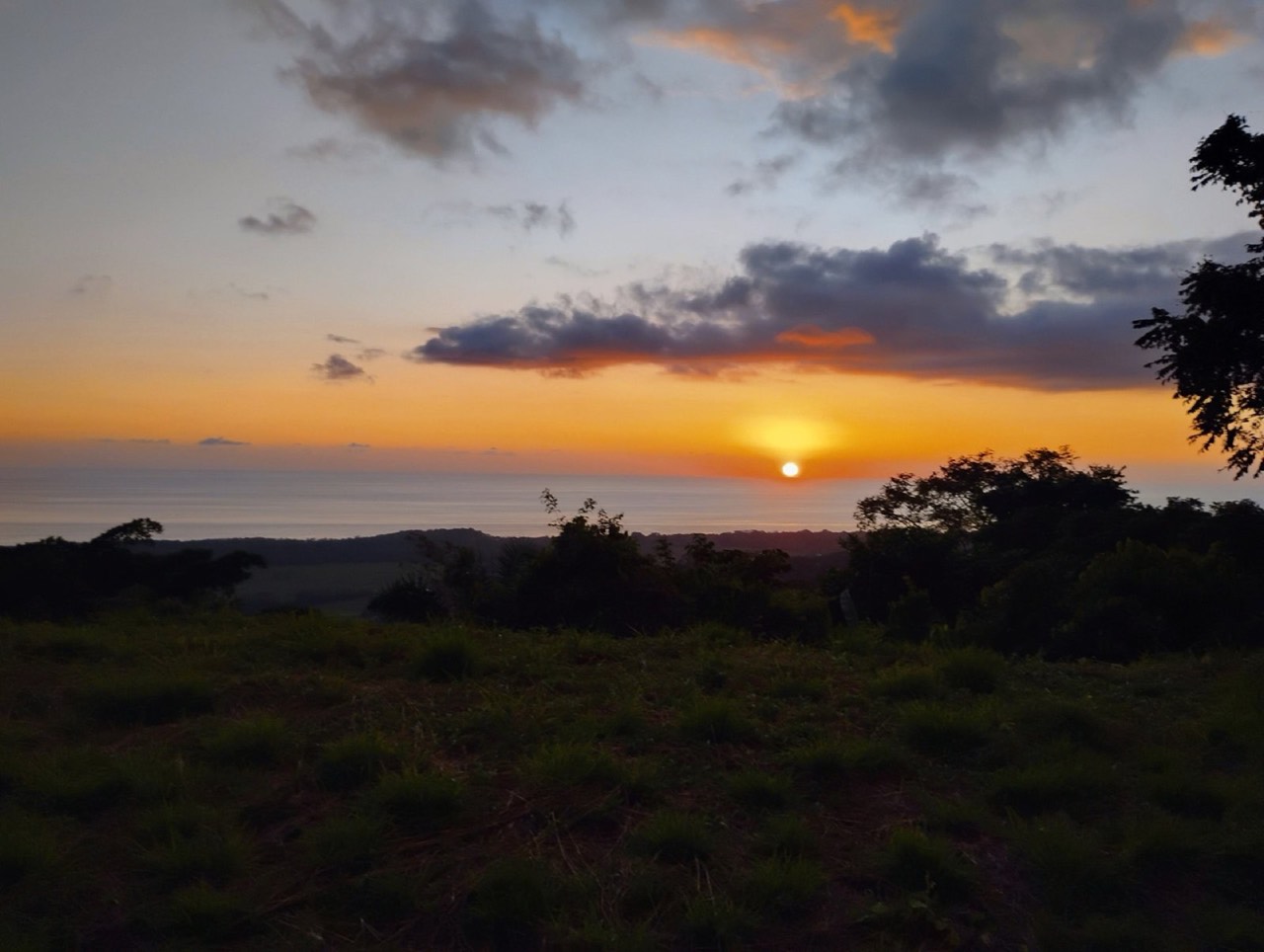 3.58 ACRES Amazing Ocean View Lot With Primary Forest, Creek, And Easy Access! property photo 5 in Costa Rica