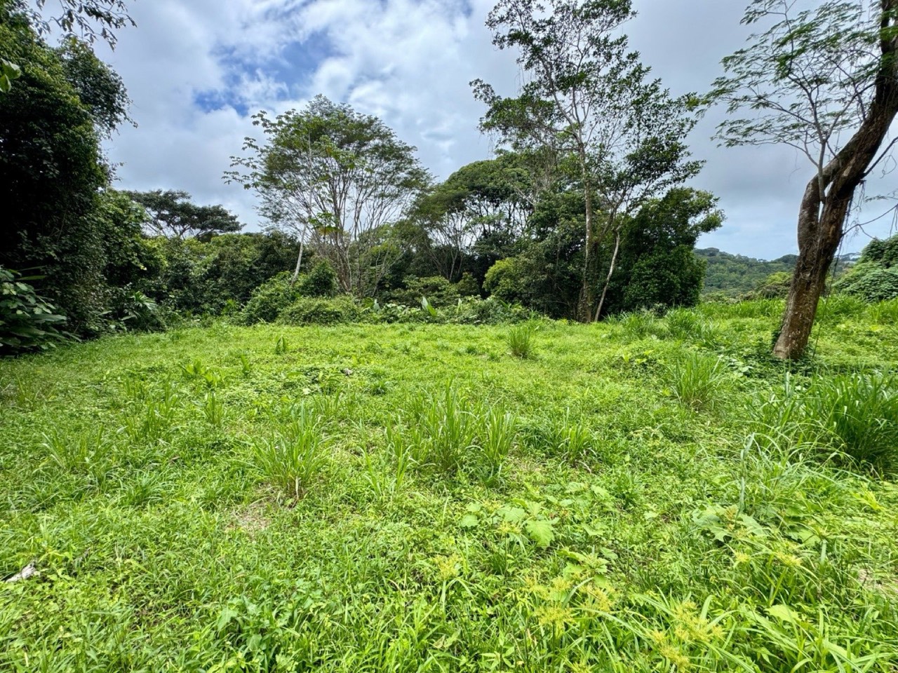 3 ACRES Beautiful Mountain View Property, Small Ocean Window, Public Road Frontage, Multiple Building Sites, Many Fruit Trees! in Savegre, Puntarenas, Costa Rica