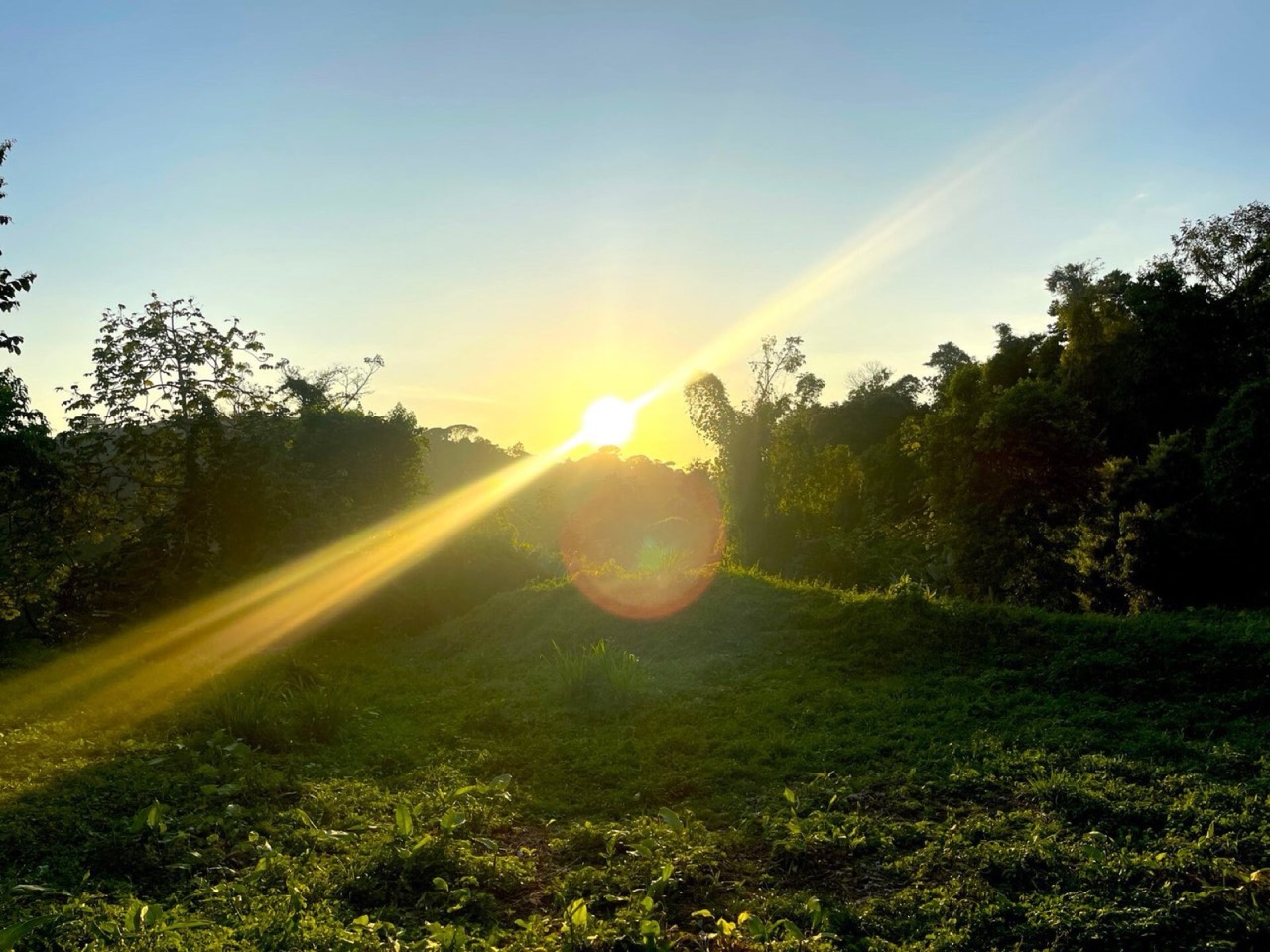 3 ACRES Beautiful Mountain View Property, Small Ocean Window, Public Road Frontage, Multiple Building Sites, Many Fruit Trees! property photo 4 in Costa Rica