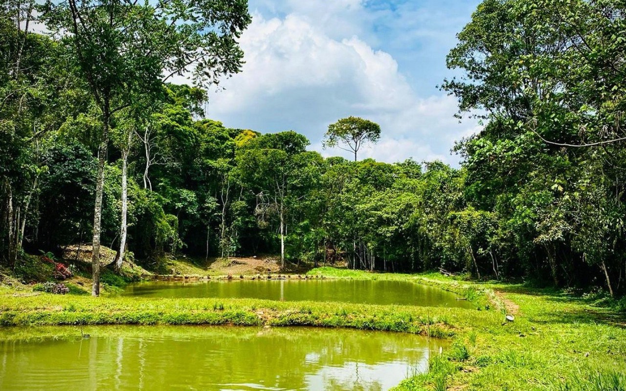 30.65 ACRES The Best Farm In The Area, With Beautiful River, 3 Springs, 6 Lakes With Fish, Mountain, Rustic House And Lots Of Space To Develop! property photo 5 in Costa Rica