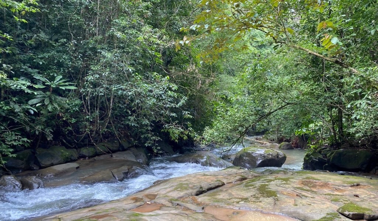 35 ACRES Beautiful Creek Running Across(!) The Property, Spectacular Valley Views And Gently Sloped Hills! property photo 2 in Costa Rica