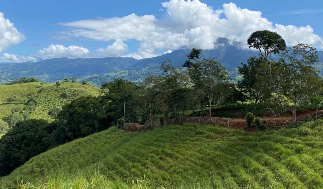 35 ACRES Beautiful Creek Running Across(!) The Property, Spectacular Valley Views And Gently Sloped Hills! in Platanillo, San José, Costa Rica