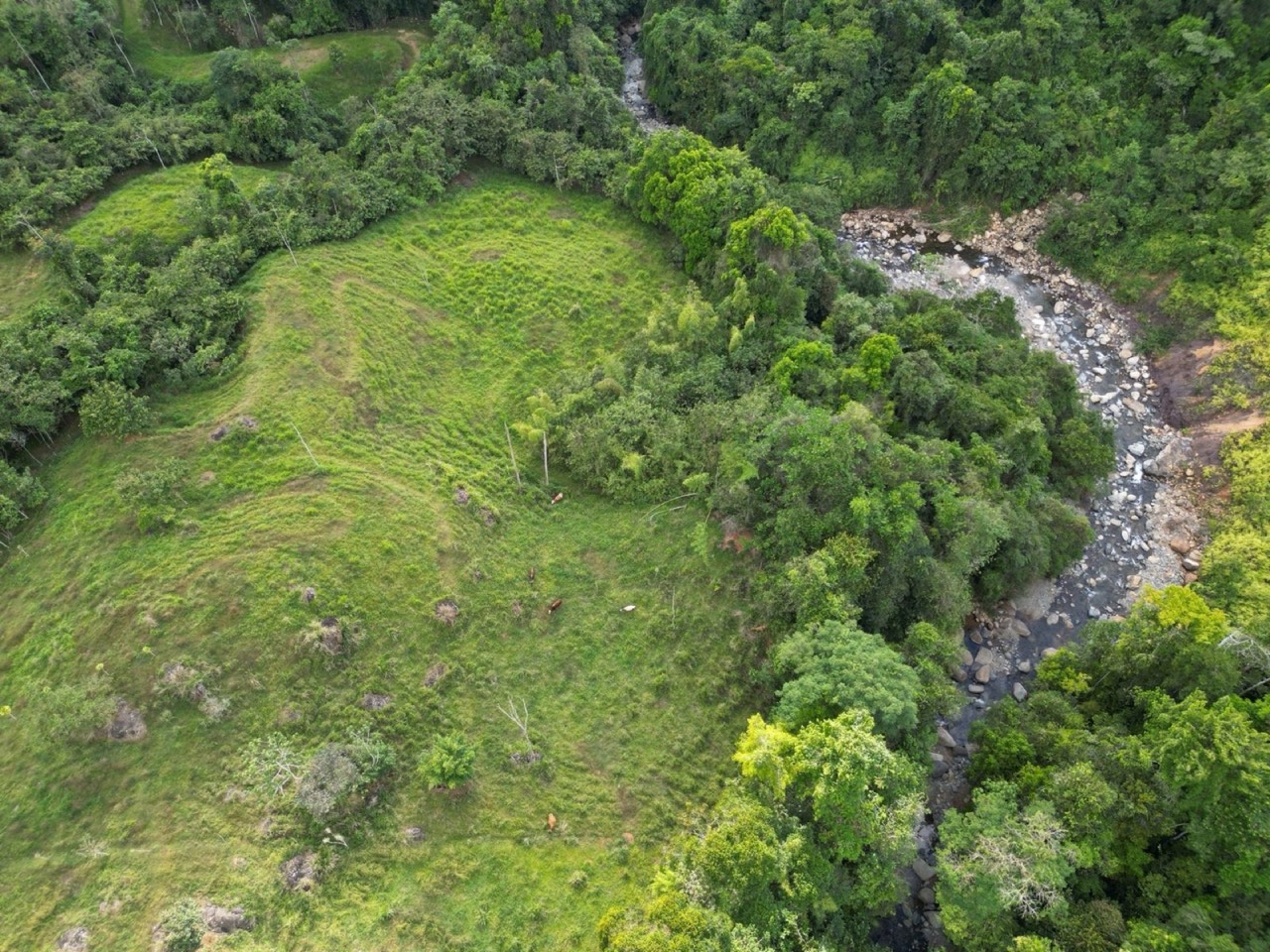 38.9 ACRES Beautiful Farm W Tons Of Usable Land, Great For Retreats Or Yoga W River Bordering, 6 Springs 2 Caretaker Cabins! property photo 4 in Costa Rica