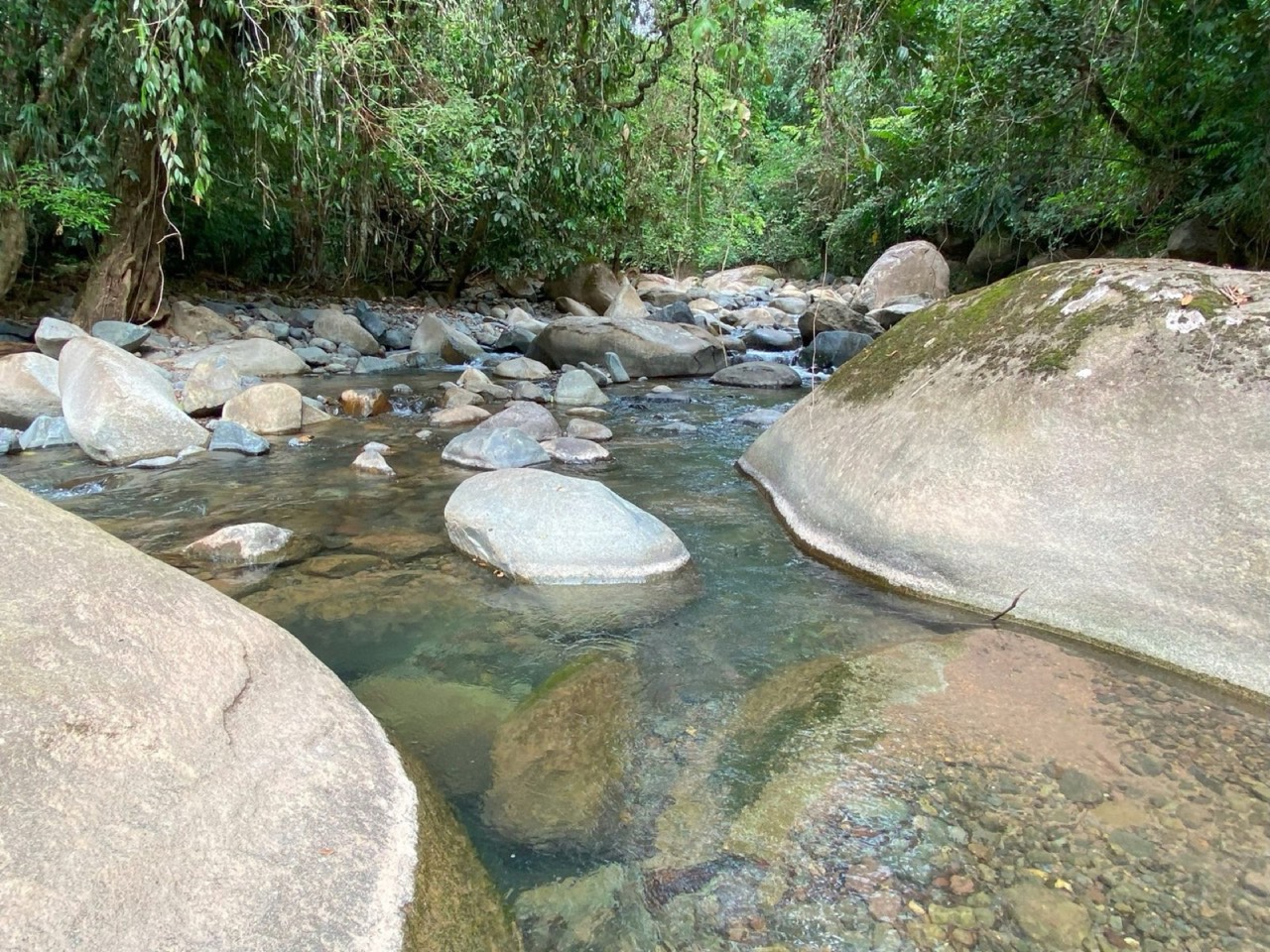 38.9 ACRES Beautiful Farm W Tons Of Usable Land, Great For Retreats Or Yoga W River Bordering, 6 Springs 2 Caretaker Cabins! in Pérez Zeledón, San José, Costa Rica