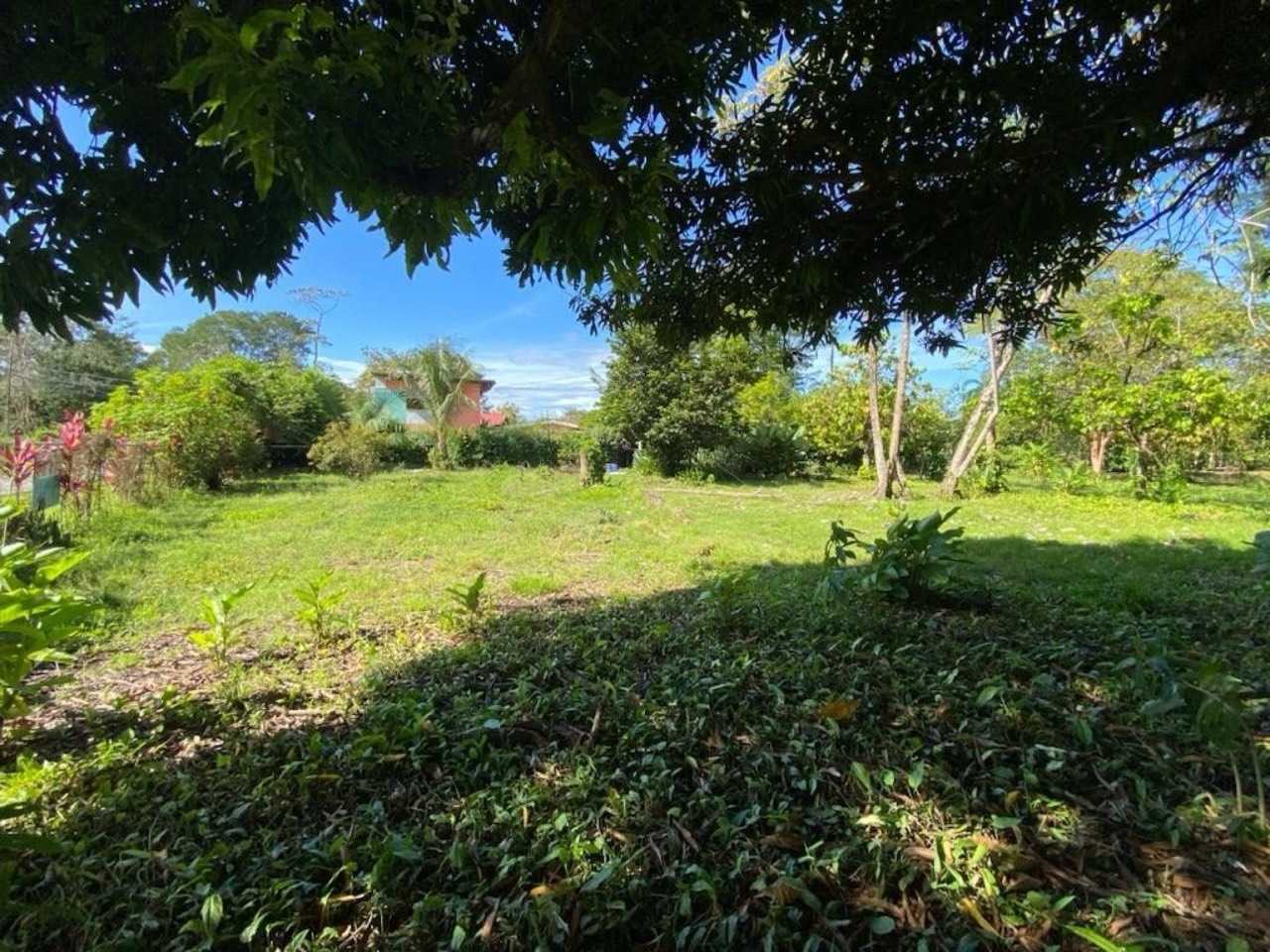 4.35 ACRES Flat And Usable Commercial Lot In The Heart Of Uvita With 90 Meters Paved Road Frontage! property photo 4 in Costa Rica