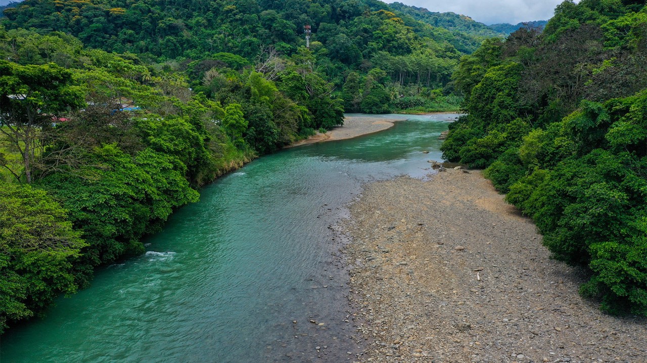 4 Unit Riverfront Micro Resort Minutes to Beach property photo 5 in Costa Rica