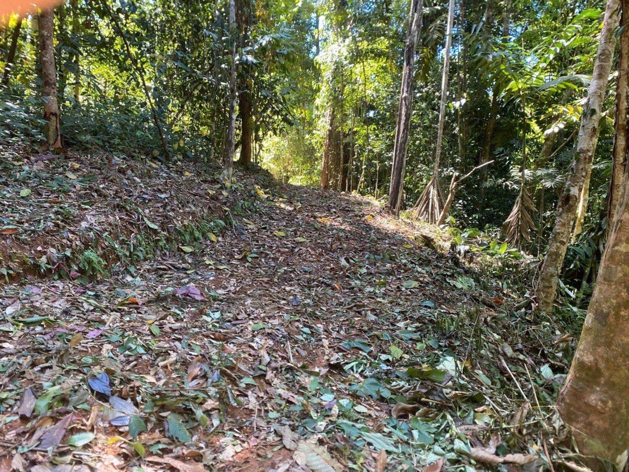 40.7 ACRES Private Forest with Trails & Multiple Building Sites, 20 Minutes from the Beach! property photo 3 in Costa Rica