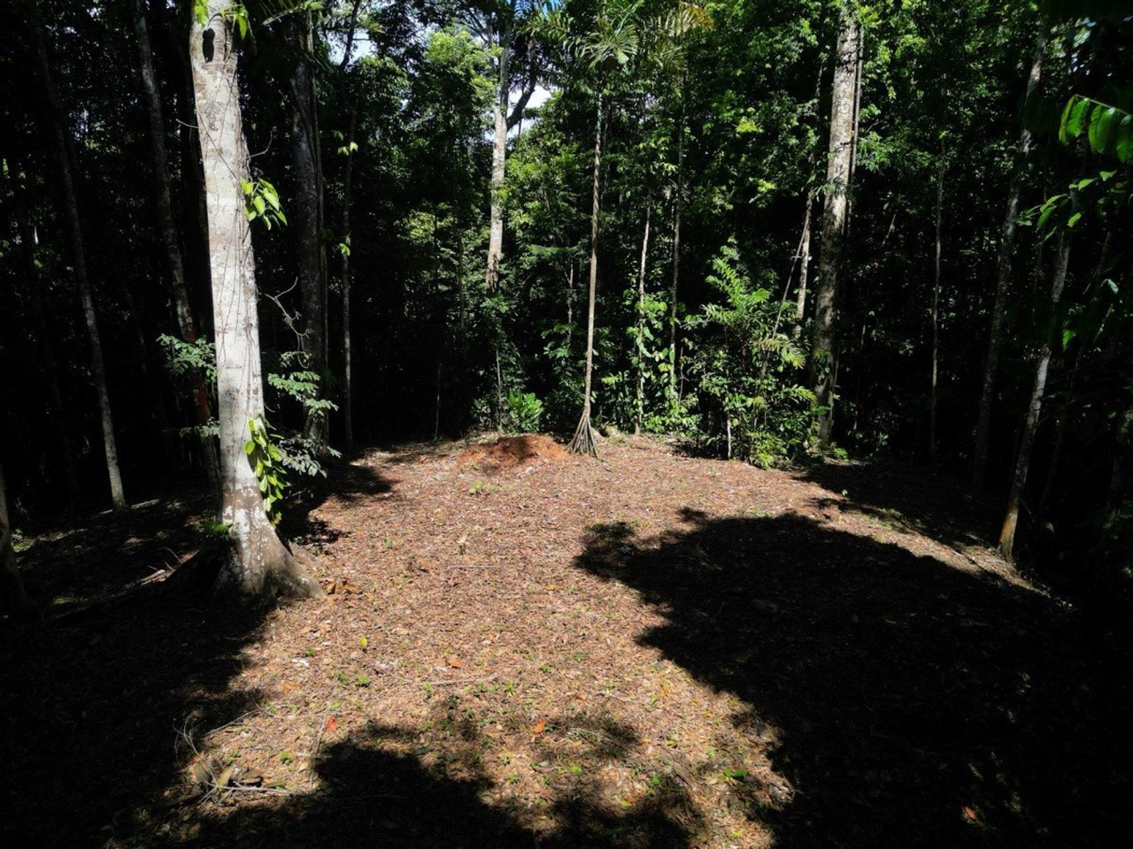 40.7 ACRES Private Forest with Trails & Multiple Building Sites, 20 Minutes from the Beach! property photo 4 in Costa Rica