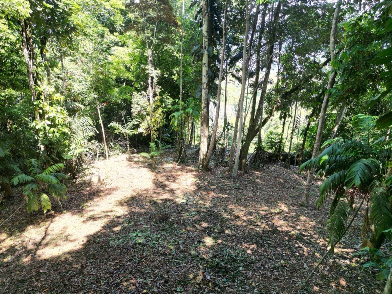 40.7 ACRES Private Forest with Trails & Multiple Building Sites, 20 Minutes from the Beach! property photo 5 in Costa Rica