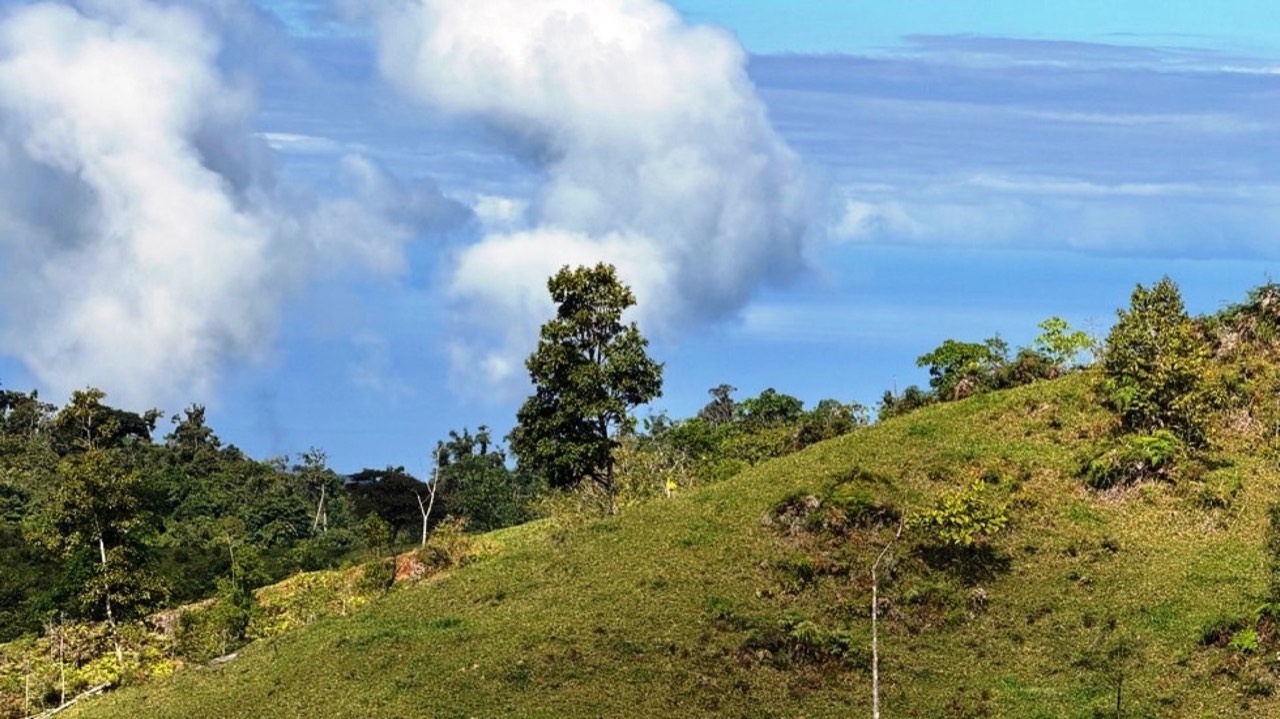 47 Acre Off Grid Ranch with Ocean & Mountain Views San Lorenzo Perez Zeledón property photo 2 in Costa Rica