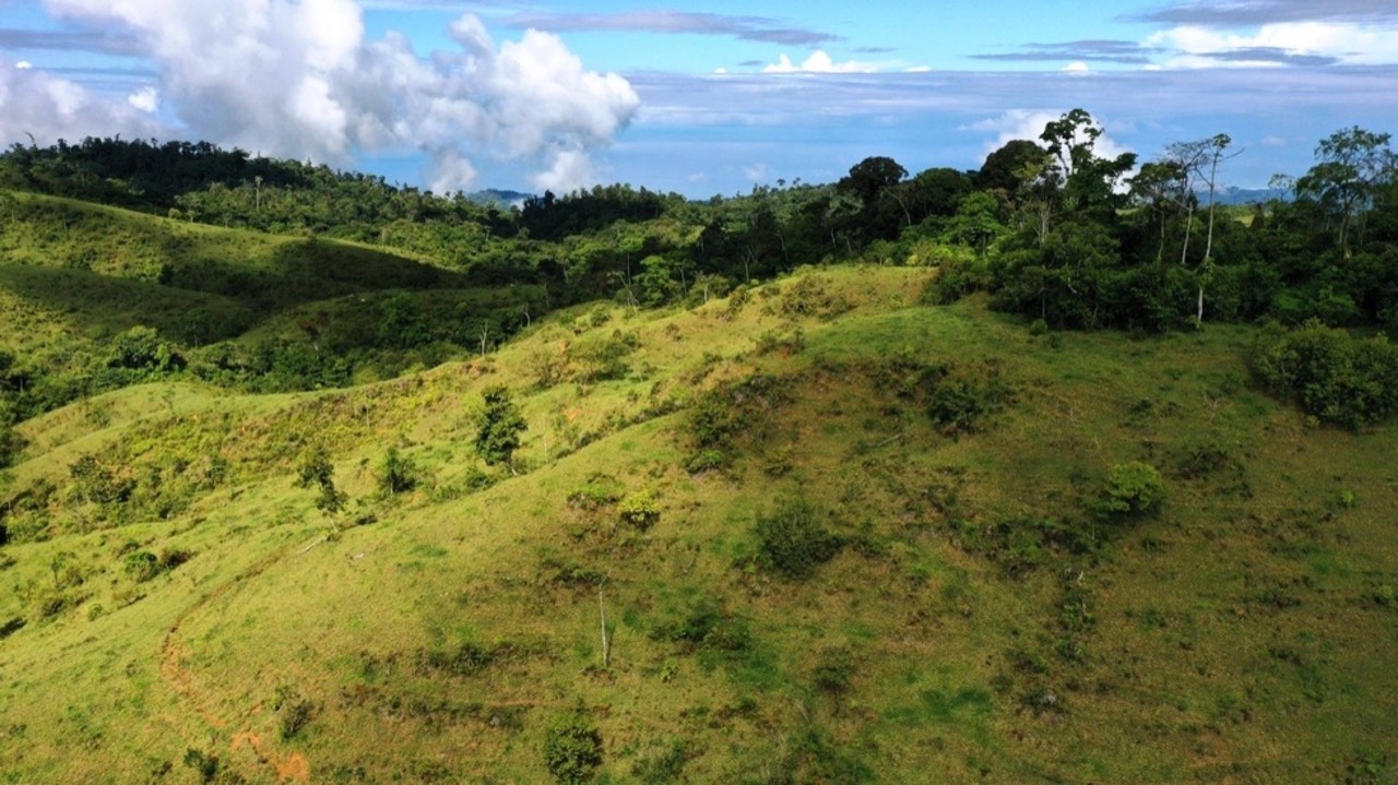 47 Acre Off Grid Ranch with Ocean & Mountain Views San Lorenzo Perez Zeledón property photo 3 in Costa Rica