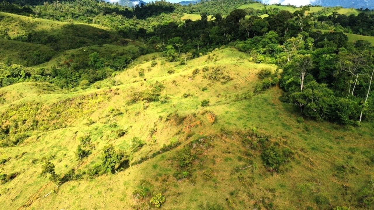 47 Acre Off Grid Ranch with Ocean & Mountain Views San Lorenzo Perez Zeledón property photo 5 in Costa Rica