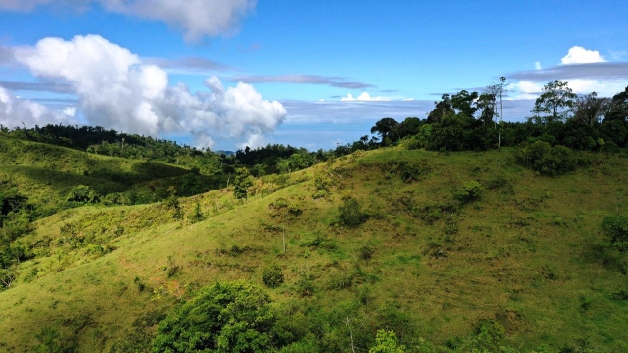 47 Acre Off Grid Ranch with Ocean & Mountain Views San Lorenzo Perez Zeledón in San Isidro del General, San José, Costa Rica