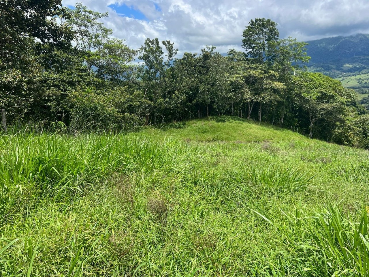 47 ACRES Beautiful Mountain View Farm With Many Water Sources and Many Building Areas! property photo 2 in Costa Rica