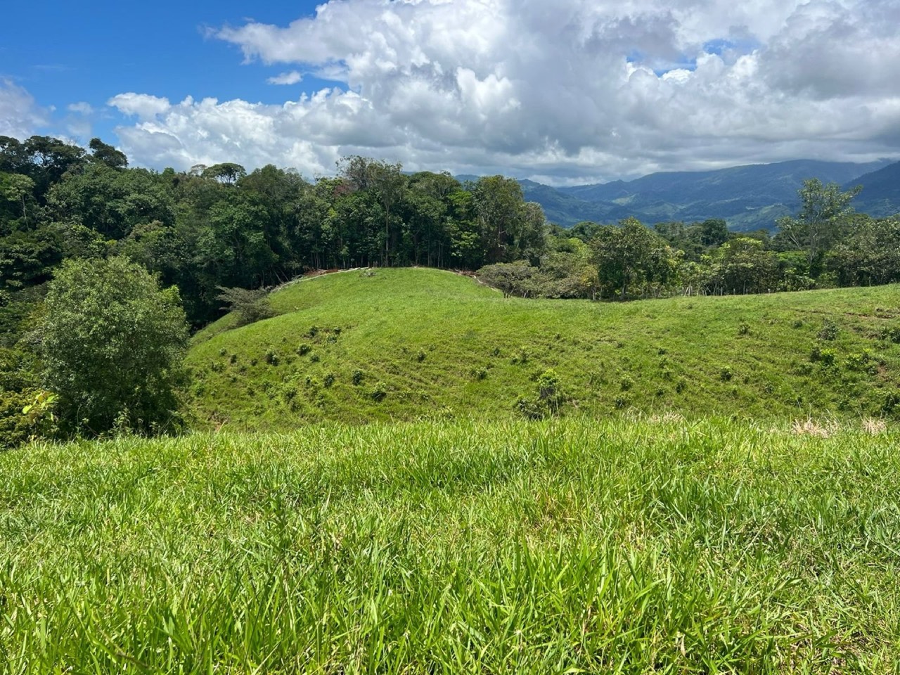 47 ACRES Beautiful Mountain View Farm With Many Water Sources and Many Building Areas! property photo 3 in Costa Rica
