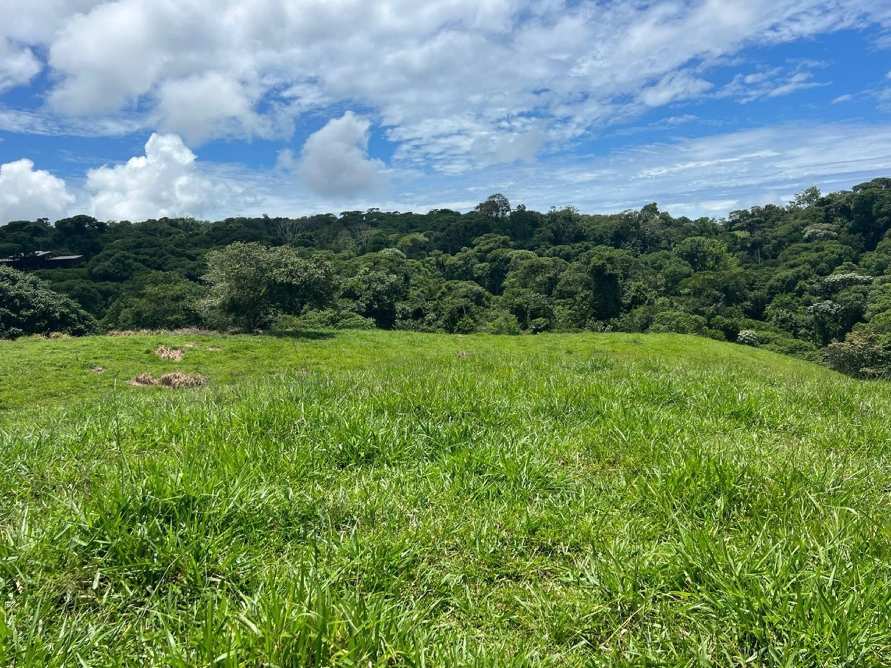 47 ACRES Beautiful Mountain View Farm With Many Water Sources and Many Building Areas! property photo 4 in Costa Rica