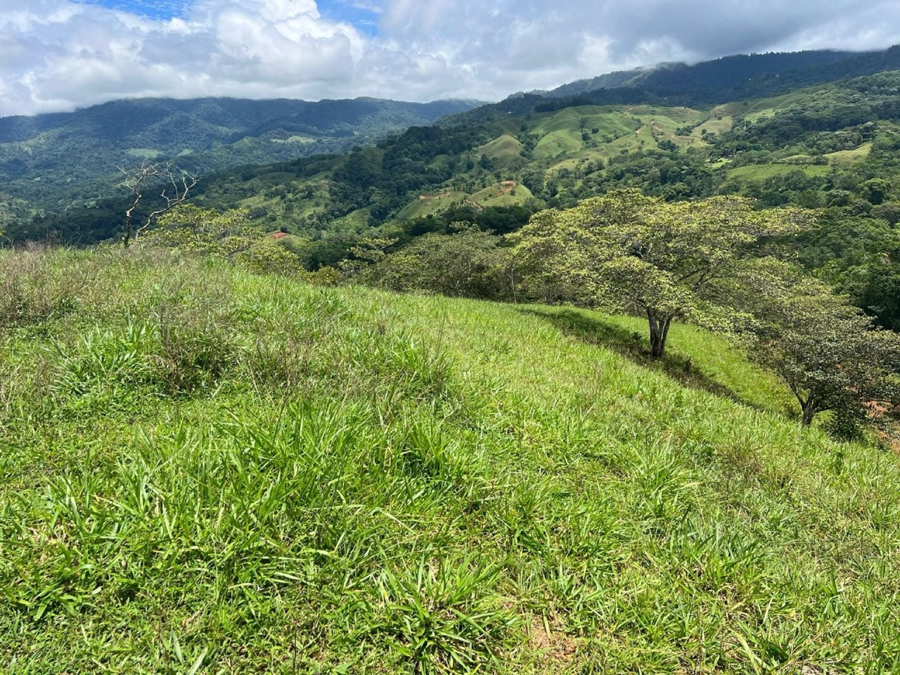 47 ACRES Beautiful Mountain View Farm With Many Water Sources and Many Building Areas! property photo 5 in Costa Rica