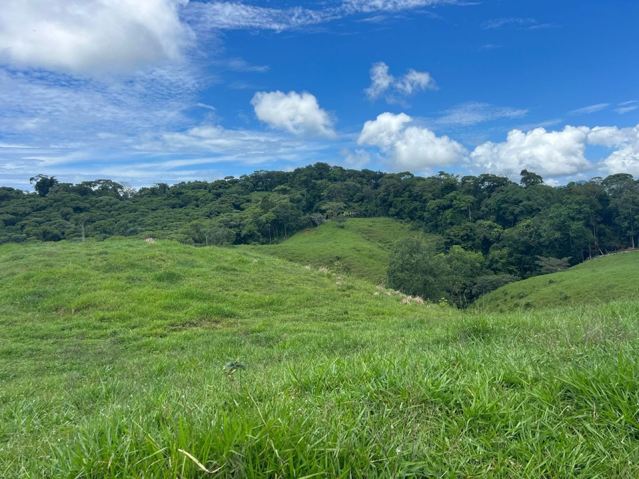 47 ACRES Beautiful Mountain View Farm With Many Water Sources and Many Building Areas! in Pérez Zeledón, San José, Costa Rica