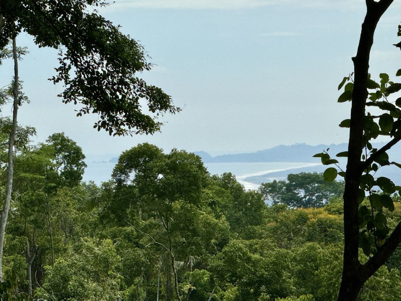 5.11 ACRES Ocean And Mountain View Estate Property, Several Flat Buildable Areas, Legal ASADA Water! property photo 3 in Costa Rica