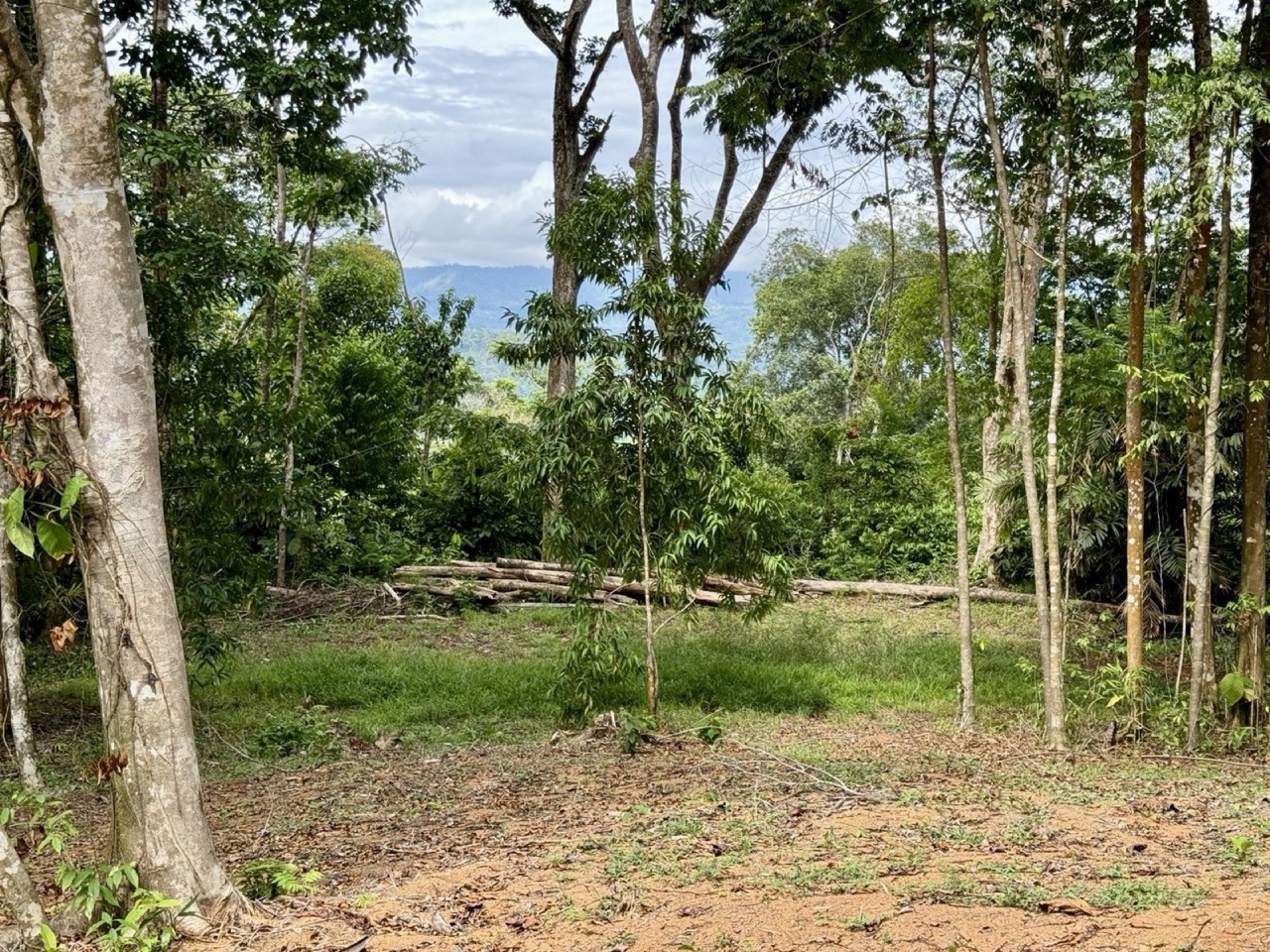 5.11 ACRES Ocean And Mountain View Estate Property, Several Flat Buildable Areas, Legal ASADA Water! property photo 4 in Costa Rica