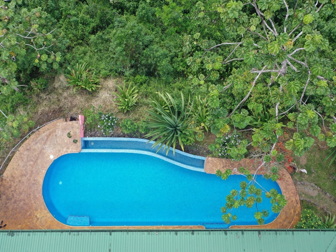 5.2 ACRES 2 Bedroom Home With 60 Ft Infinity Lap Pool, 1 Bedroom Guest House, Fabulous Ocean View, Mature Fruit Trees! property photo 5 in Costa Rica