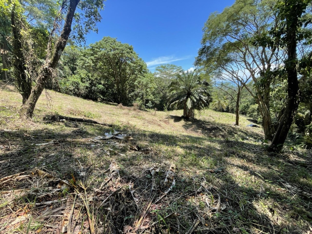 5.4 ACRES Amazing Ocean View Acreage With Multiple Building Sites And Legal Water! property photo 2 in Costa Rica