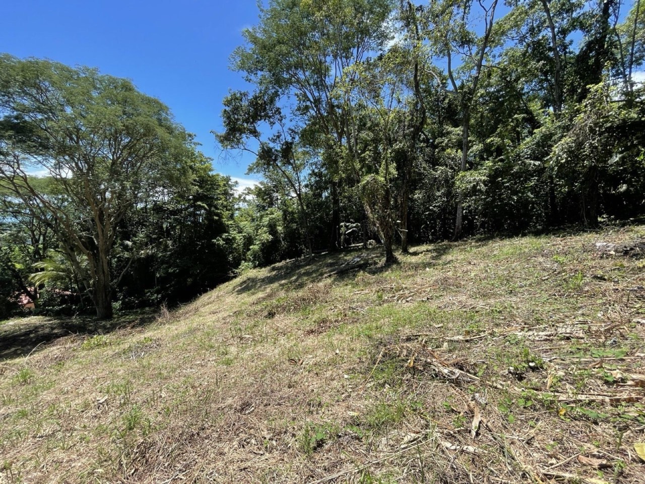 5.4 ACRES Amazing Ocean View Acreage With Multiple Building Sites And Legal Water! property photo 5 in Costa Rica