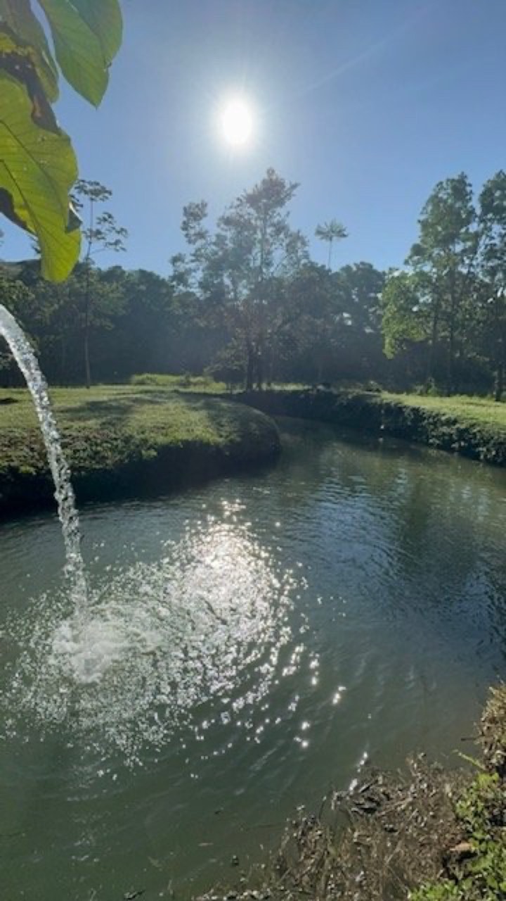 50 ACRES 5 Bedroom 3-Story Home With All Utilities In Place, 3 Ranches, Pool, Tilapia Pond, A Private River With Waterfalls & Swimming Holes And More! property photo 3 in Costa Rica