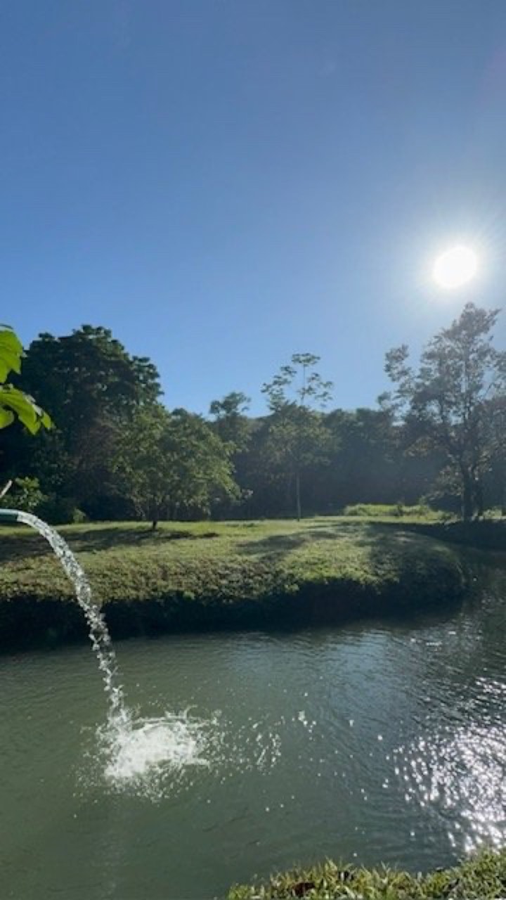 50 ACRES 5 Bedroom 3-Story Home With All Utilities In Place, 3 Ranches, Pool, Tilapia Pond, A Private River With Waterfalls & Swimming Holes And More! property photo 5 in Costa Rica