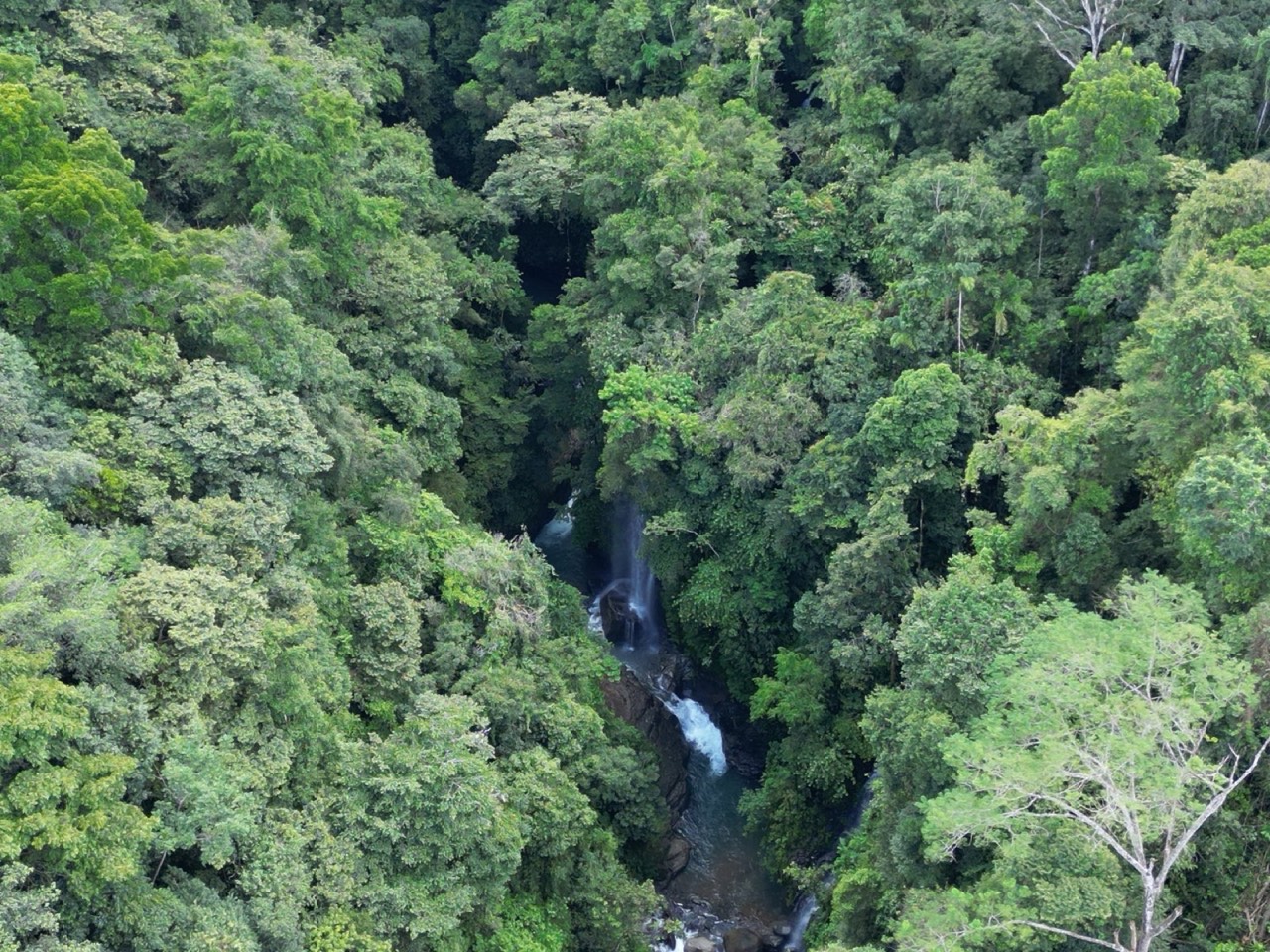 54 ACRES Luxury Nature Estate With Waterfalls, Rivers, Usable Land, Diamante Waterfall, Ocean And 360 Mountain Views! in Pérez Zeledón, San José, Costa Rica