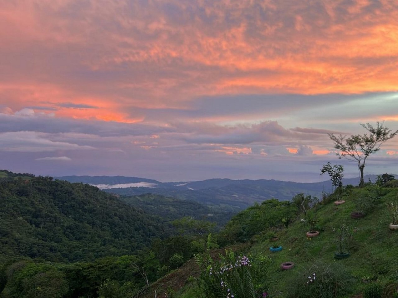 7.85 ACRES – Incredible Mountain and Ocean Views Rustic Home and Guest House, Many Fruit Trees, and More Building Areas on Top of the Mountain! in Pérez Zeledón, San José, Costa Rica