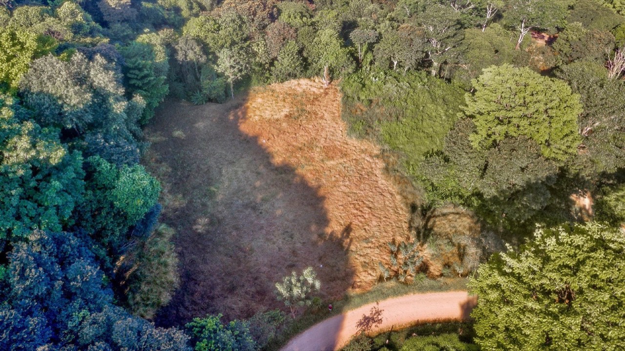 7 ACRES Mountain Views! Large Building Area, Walking Distance To The Largest Waterfall In The Area, Public Road, Private Setting, Ready To Build, 20Min to Dominical! property photo 3 in Costa Rica