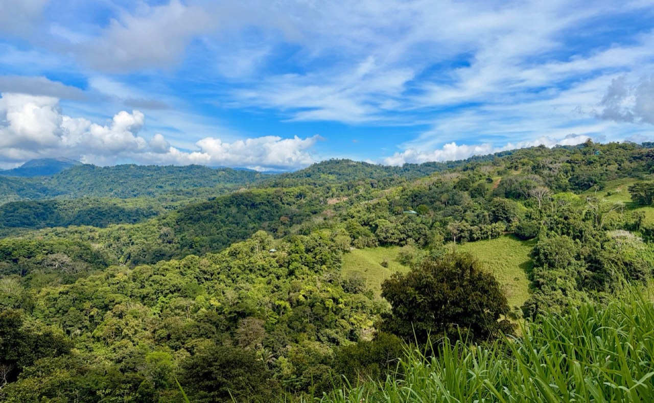 7 ACRES Mountain Views! Large Building Area, Walking Distance To The Largest Waterfall In The Area, Public Road, Private Setting, Ready To Build, 20Min to Dominical! property photo 4 in Costa Rica