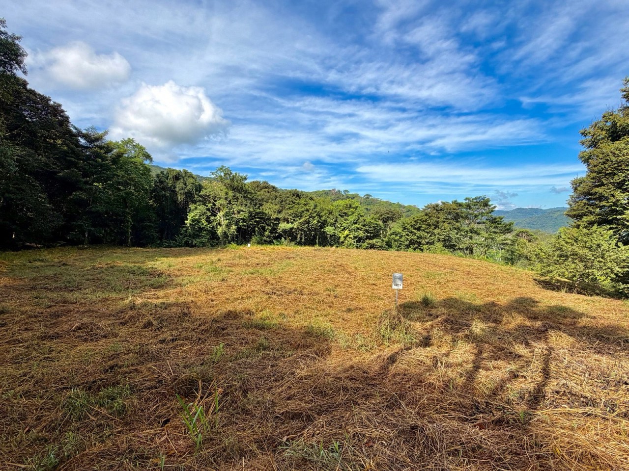 7 ACRES Mountain Views! Large Building Area, Walking Distance To The Largest Waterfall In The Area, Public Road, Private Setting, Ready To Build, 20Min to Dominical! property photo 5 in Costa Rica