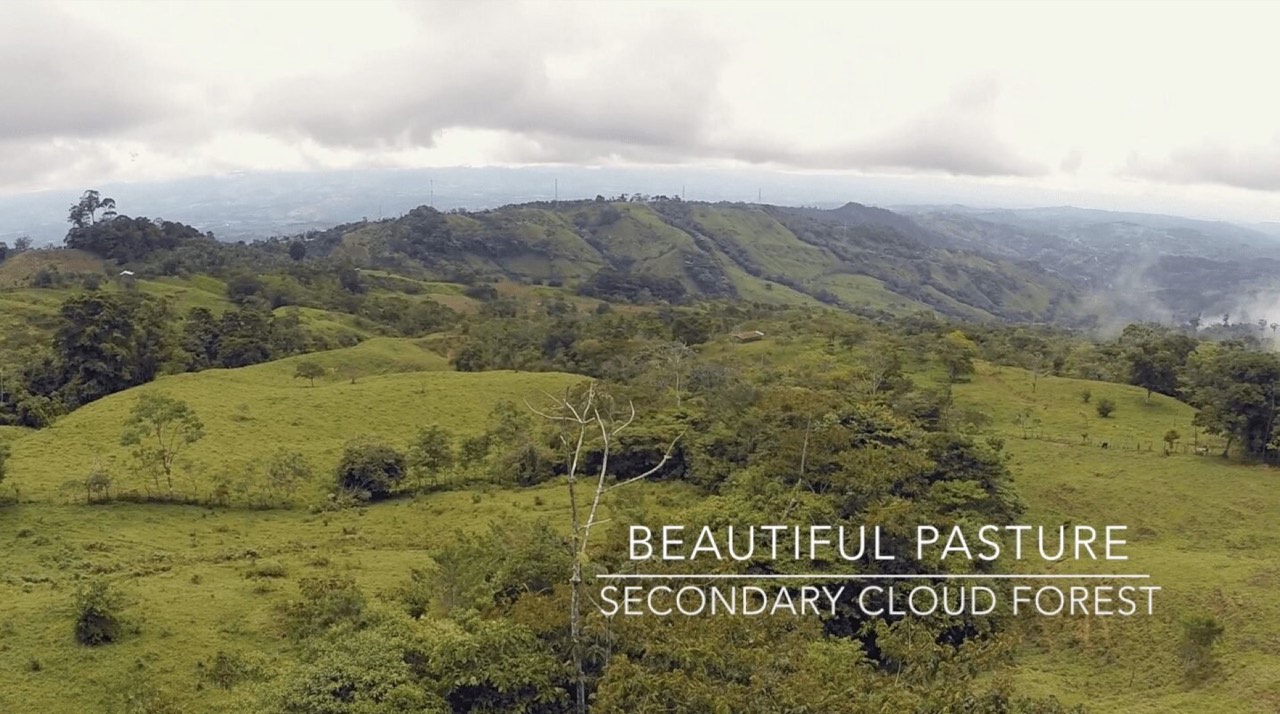 79 ACRES – Amazing Farm On Ridge Top With Whale s Tail Ocean View And 800 Exotic Tropical Fruit Trees! property photo 5 in Costa Rica