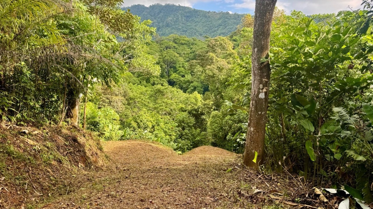 8.95 Acres Prime Location with Waterfall & River in Dominical property photo 2 in Costa Rica
